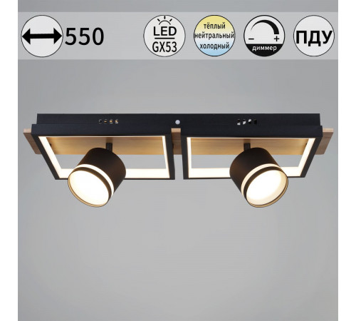 Потолочный светильник Reluce 19560-0.3-2+2 BK+WOOD