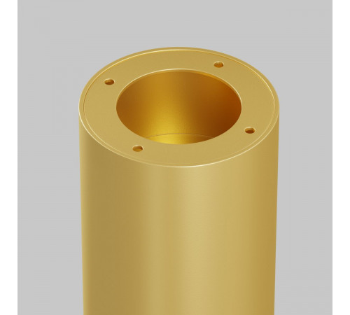 Потолочный светильник Maytoni Technical Focus C010CL-01MG-N