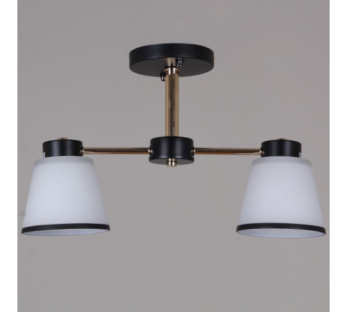 Потолочный светильник Reluce 30560-0.3-02 BK+FG