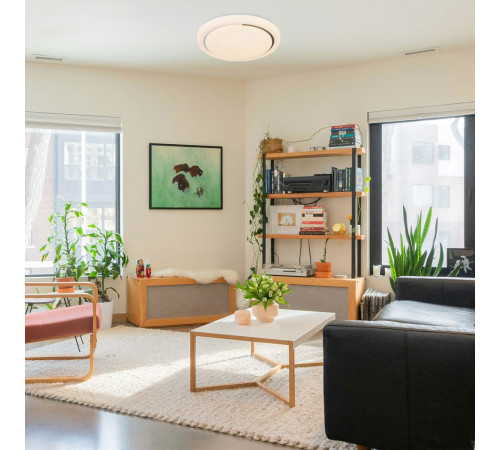 Потолочный светильник Escada Ophira 10227/S LED APP