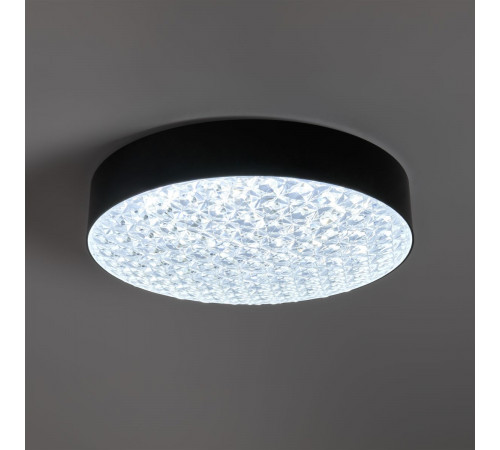 Потолочный светильник Freya Crispia FR6218CL-L90B