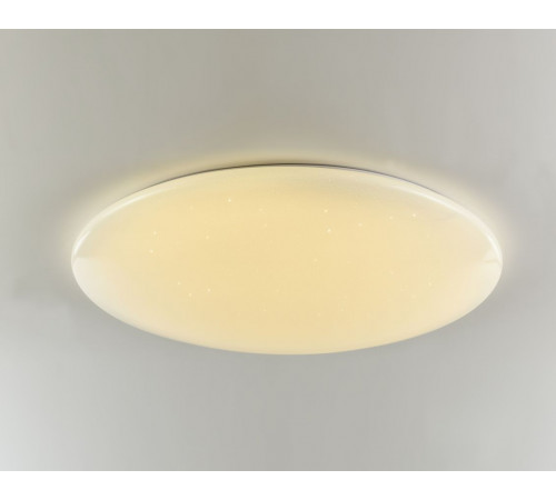 Потолочный светодиодный светильник F-Promo Luna 2319-10C