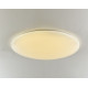 Потолочный светодиодный светильник F-Promo Luna 2319-10C