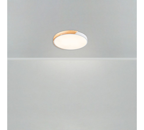 Потолочный светильник Freya Sprida FR6129CL-L80W