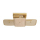 Потолочный светильник Freya Saffle FR5572CL-02G