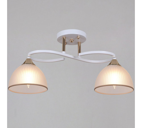 Потолочный светильник Reluce 68560-0.3-02 WH+FG