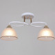Потолочный светильник Reluce 68560-0.3-02 WH+FG