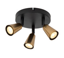 Потолочный светильник Lucide Tiana 65901/13/05