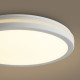 Потолочный светильник Freya Rua FR6160CL-L40W
