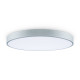 Потолочный светильник Freya Sprida FR6129CL-L80GR
