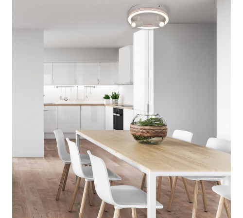 Потолочный светильник Escada 20044SMA/03LED WH