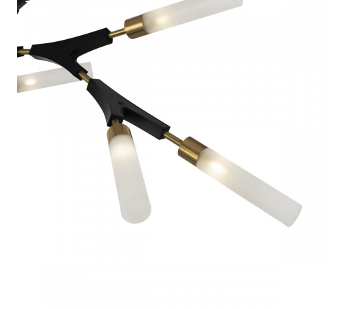 Потолочный светильник Freya Crown FR5213PL-05B
