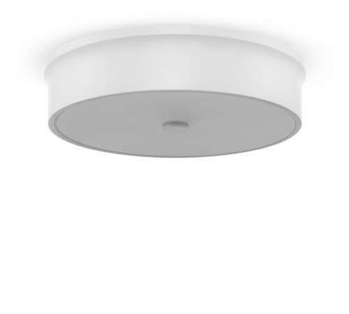 Потолочный светильник Freya Cells FR10011CL-L24W