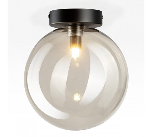 Потолочный светильник Citilux Orton CL202511