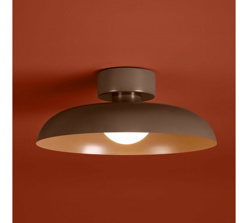 Потолочный светильник Freya Movement FR5602CL-L10BR