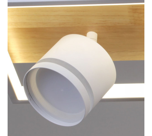 Потолочный светильник Reluce 19560-0.3-2+2 WH+WOOD