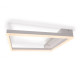 Потолочный светильник Freya Frame FR6084CL-L82W