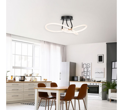 Потолочный светильник Freya Fancy FR6059CL-L35B