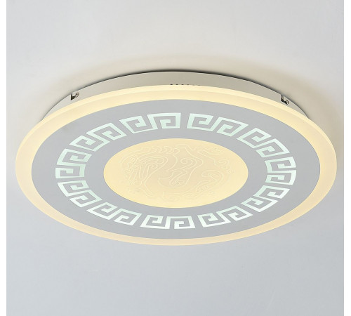Потолочный светодиодный светильник F-Promo Ledolution 2273-5C