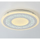 Потолочный светодиодный светильник F-Promo Ledolution 2273-5C