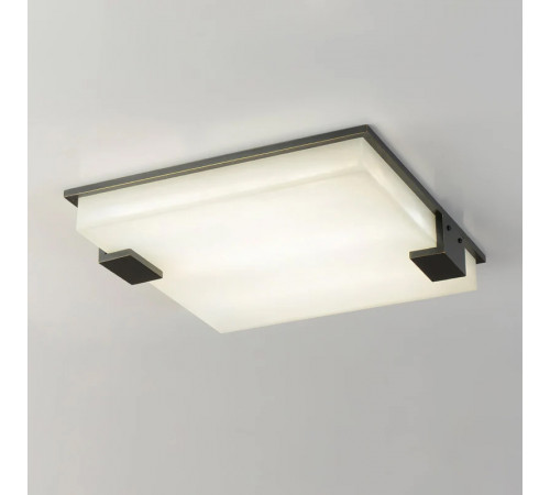 Потолочный светильник Delight Collection 8212C/500 black/white