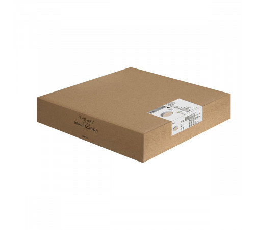 Потолочный светильник Freya Pass FR6222CL-L84W