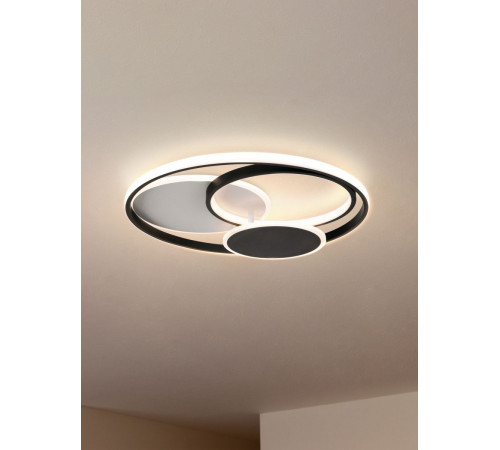 Потолочный светильник Freya Cosmic Market FR10015CL-L94WB