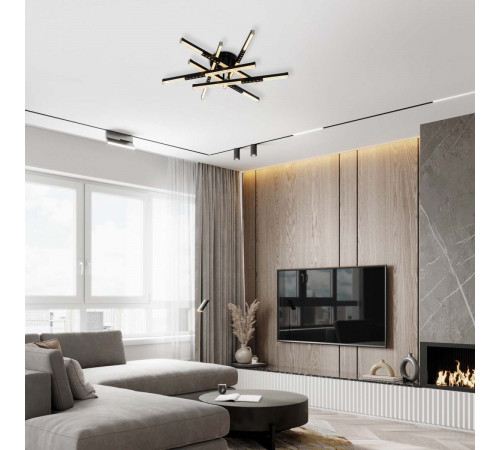 Потолочный светильник LED4U L5116-6 BK