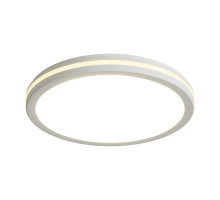 Потолочный светильник Freya Rua FR6160CL-L40W