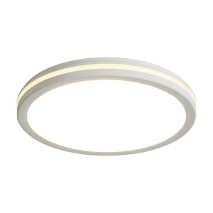 Потолочный светильник Freya Rua FR6160CL-L40W