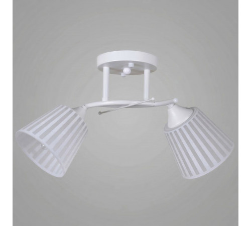 Потолочный светильник Reluce 82460-0.3-02 WH