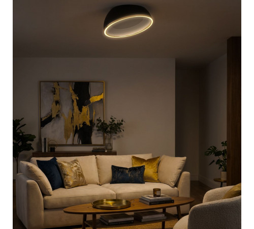 Потолочный светильник Citilux Floom CL736151