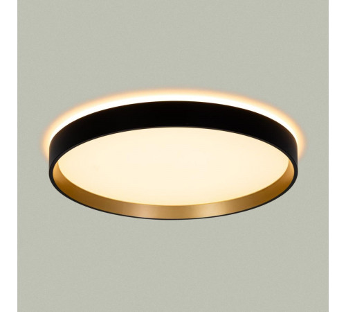 Потолочный светильник Citilux Etalon CL750321R