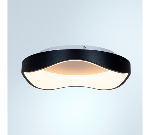 Потолочный светильник Arte Lamp Ankaa A3085PL-48BK