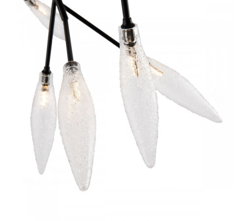 Потолочный светильник Freya Iris FR5067CL-27B