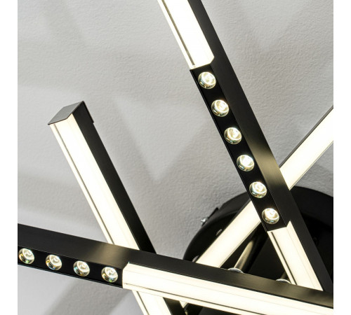 Потолочный светильник LED4U L5116-6 BK