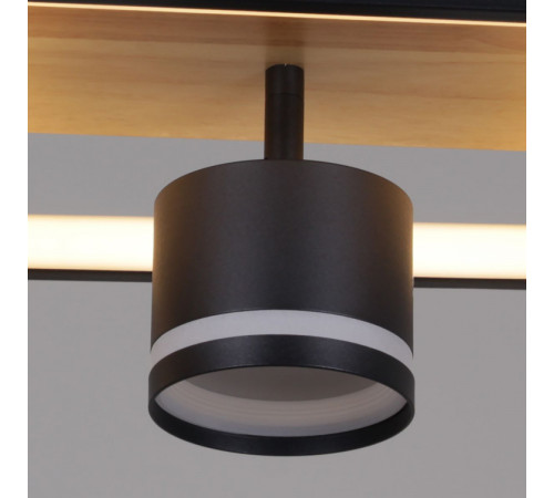 Потолочный светильник Reluce 19560-0.3-2+2 BK+WOOD