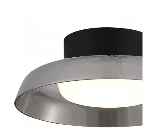 Потолочный светильник ST Luce Foray SL6019.412.01 Потолочный светильник ST Luce Foray SL6019.412.01