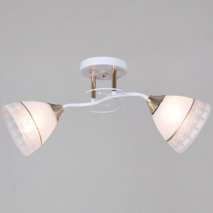 Потолочный светильник Reluce 11460-0.3-02 WH+FG