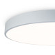 Потолочный светильник Freya Sprida FR6129CL-L80GR