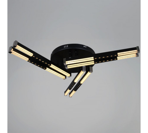 Потолочный светильник Reluce 24090-0.3-06 BK