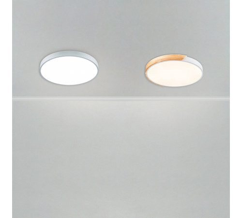 Потолочный светильник Freya Sprida FR6129CL-L80W