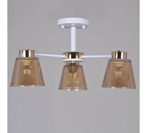 Потолочный светильник Reluce 20560-0.3-03 WH+FG