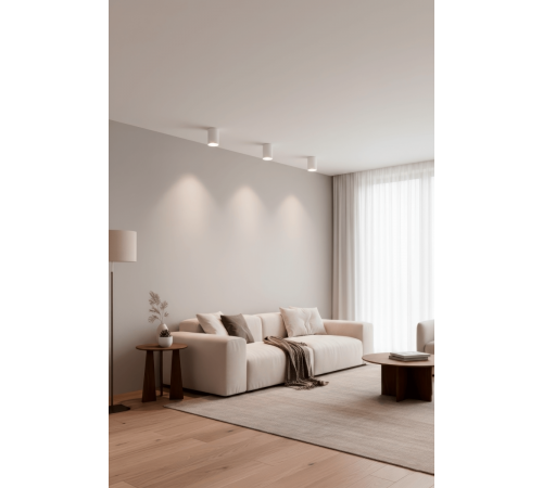 Потолочный светильник Crystal Lux CLT 084C WH