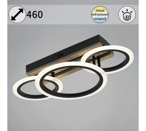 Потолочный светильник Reluce 00330-0.3-2+1