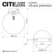 Потолочный светильник Citilux Orton CL202512