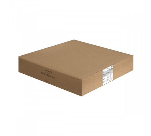 Потолочный светильник Freya Cosmic FR5457CL-L36B
