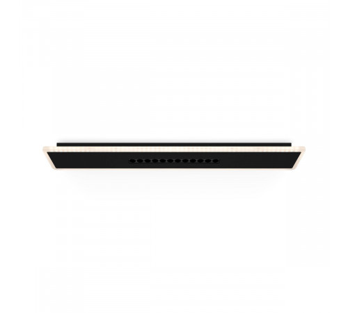 Потолочный светильник Freya Shine FR6105CL-L40B