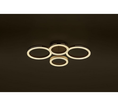 Потолочный светильник Rivoli Juniper 6187-702