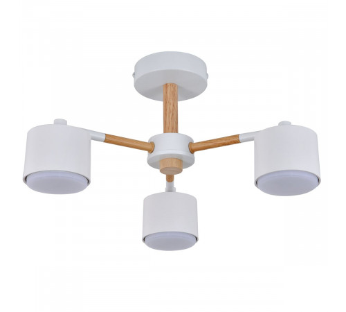 Потолочный светильник Escada Lyse ES0000022L